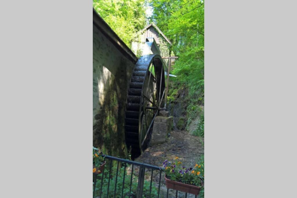 Le Portougais, Chalet A Chanaz, La Petite Venise Savoyarde Экстерьер фото